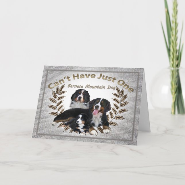 Tarjeta Festiva Perro del monte Bernés no puede tener uno (Anverso)