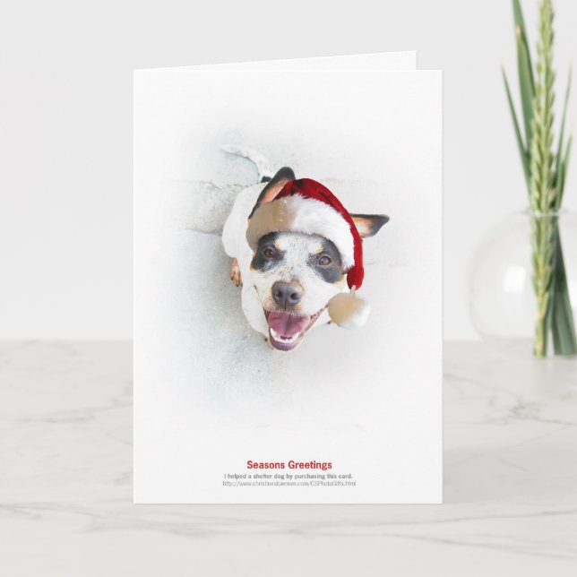 Tarjeta Festiva Perro del refugio del día de fiesta (Anverso)