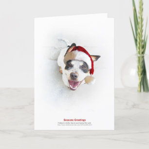 Tarjeta Festiva Perro del refugio del día de fiesta