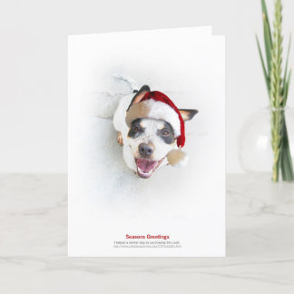 Tarjeta Festiva Perro del refugio del día de fiesta