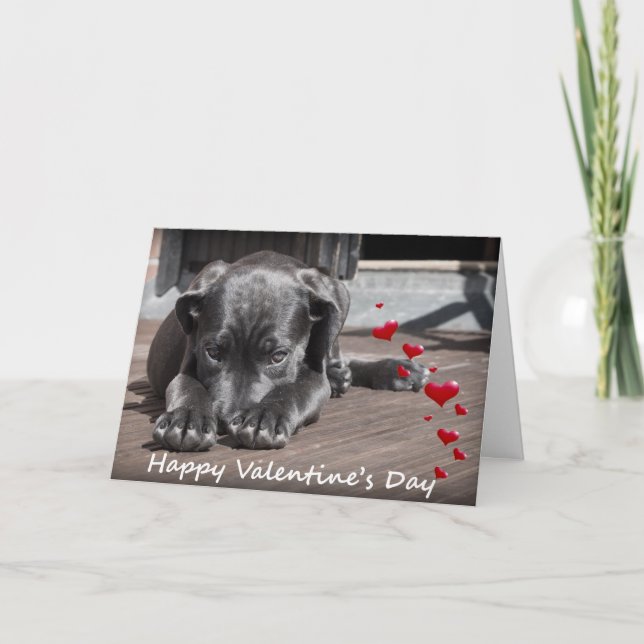 Tarjeta Festiva Perro deseando feliz día de San Valentín con tarje (Anverso)