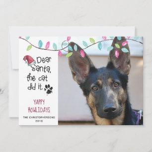 Tarjeta Festiva Perro Divertido Dice   Luces Pastel   Foto