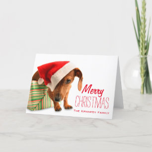 Tarjeta Festiva Perro en el gorra de Santa