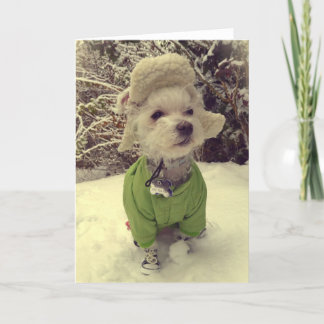 Tarjeta Festiva Perro en la nieve