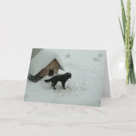 Tarjeta Festiva Perro en nieve por Doghouse