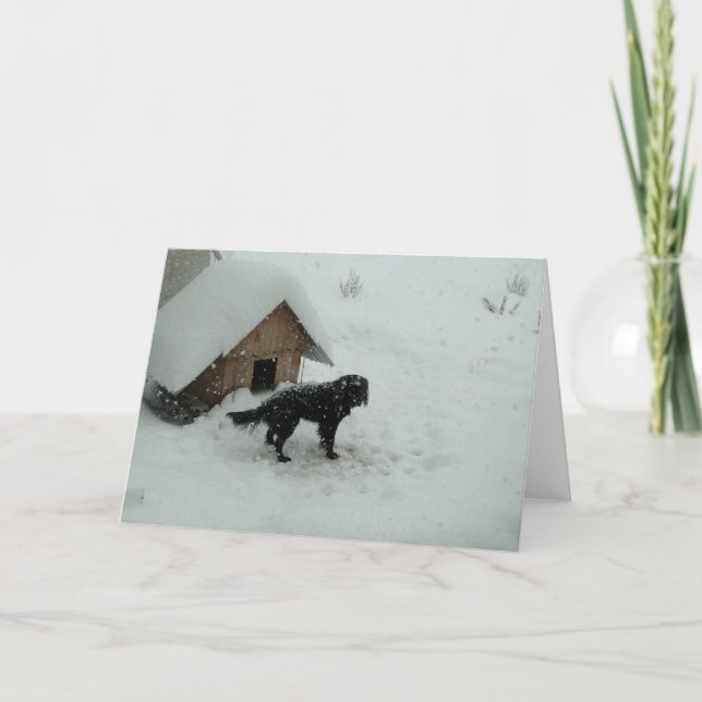 Tarjeta Festiva Perro en nieve por Doghouse (Anverso)