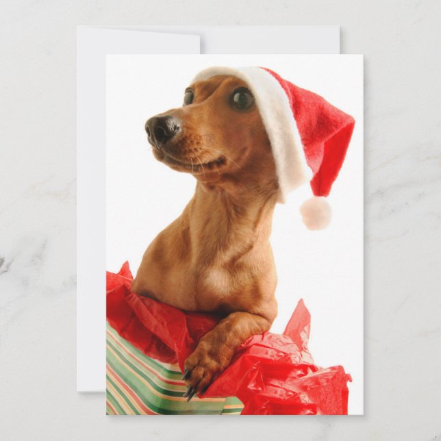 Tarjeta Festiva Perro en presente con el gorra de Santa (Anverso)