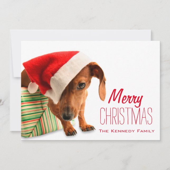 Tarjeta Festiva Perro en Santa hat (Anverso)