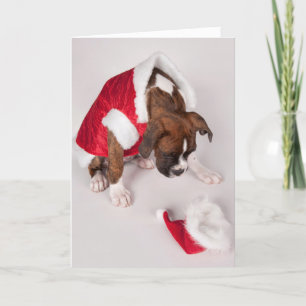 Tarjeta Festiva Perro en un traje de Santa