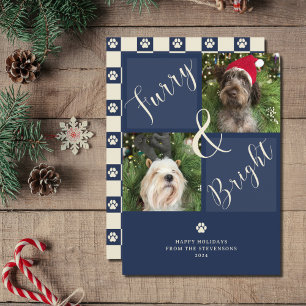 Tarjeta Festiva Perro fotográfico azul 2 de la armada azul brillan