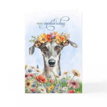 Perro Galgo Flores Silvestres Día de la Madre