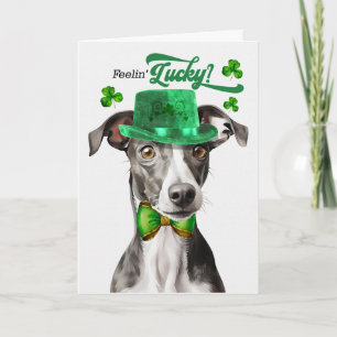Tarjeta Festiva Perro Galgo Sintiéndose Afortunado Día de San Patr