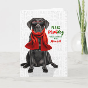 Tarjeta Festiva Perro Labrador Negro Divertidas Pulgas Navidog con