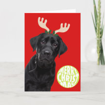 Perro Labrador Negro PetCristmas Pelota de Tenis D