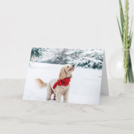 Tarjeta Festiva Perro lindo con bufanda roja