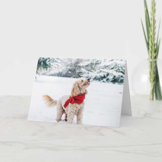 Tarjeta Festiva Perro lindo con bufanda roja (Anverso)