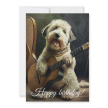 Perro lindo con guitarra.