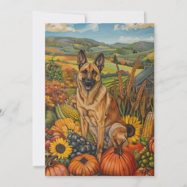 Tarjeta Festiva Perro malinoi belga cosecha otoño día de gracias (Anverso)