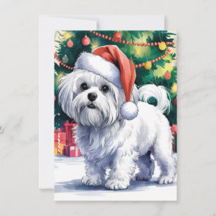 Tarjeta Festiva Perro maltés blanco con sombrero de Santa