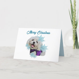 Tarjeta Festiva Perro maltés con arnés púrpura en los copos de nie