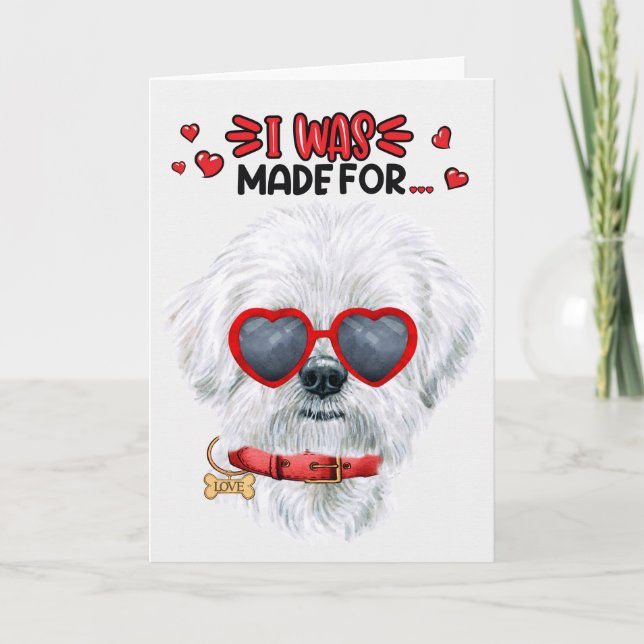 Tarjeta Festiva Perro maltés hecho para amarte San Valentín (Anverso)