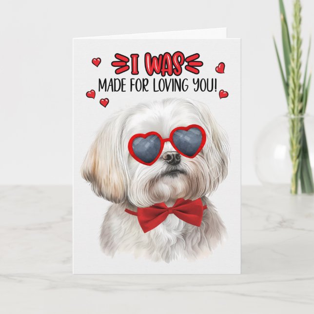 Tarjeta Festiva Perro maltés lindo hecho para amarte San Valentín (Anverso)
