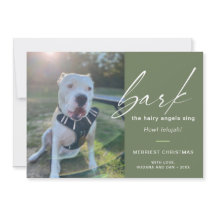 Perro Moderno Ladra Los Ángulos Peludos Cantan Fot