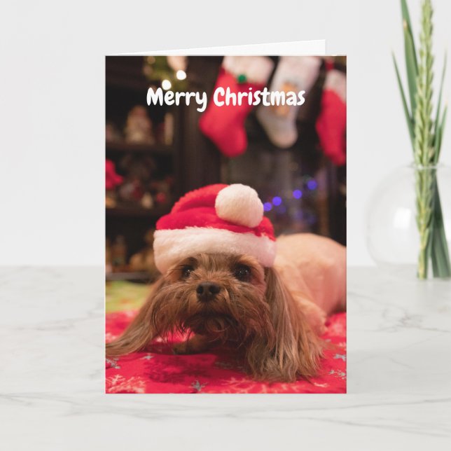 Tarjeta Festiva Perro navideño (Anverso)