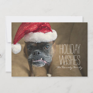 Tarjeta Festiva Perro navideño