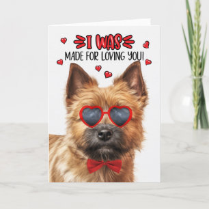 Tarjeta Festiva Perro Norwich Terrier hecho para amarte San Valent