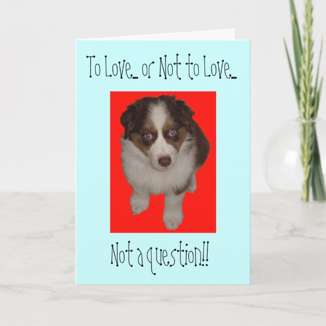 Tarjeta Festiva Perro pastor australiano el día de San Valentín (Anverso)
