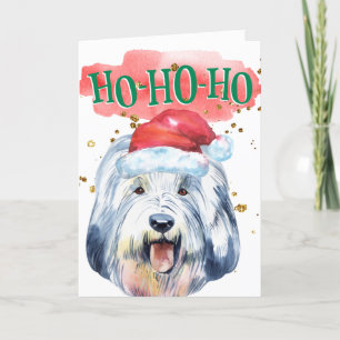 Tarjeta Festiva Perro pastor inglés divertido sombrero de Santa ya