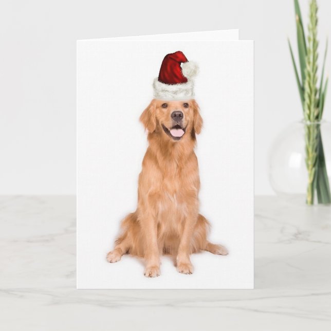 Tarjeta Festiva Perro perdiguero Ditzy de Dogs~Original (Anverso)