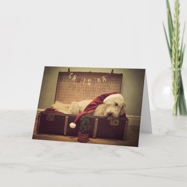 Tarjeta Festiva Perro que duerme en maleta (Anverso)