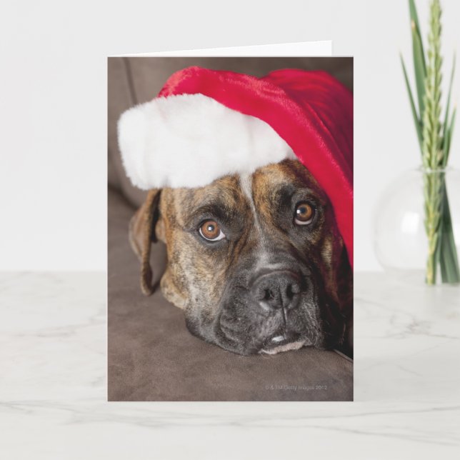 Tarjeta Festiva Perro que lleva el gorra de Santa (Anverso)