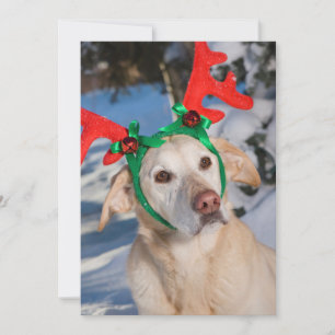 Tarjeta Festiva Perro que usa anillos de reno