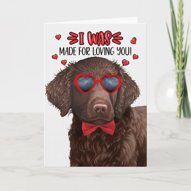 Tarjeta Festiva Perro recuperado con curry hecho para el amor Vale (Anverso)