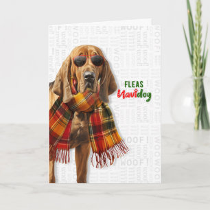 Tarjeta Festiva Perro sabueso de sangre lindo Navidog divertido pu