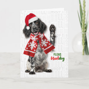 Tarjeta Festiva Perro Setter Inglés Divertidas Pulgas Navidog Navi