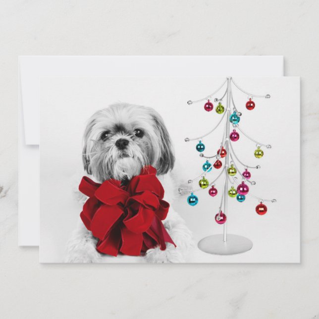 Tarjeta Festiva Perro Shih Tzu con arco rojo por un árbol de Navid (Anverso)