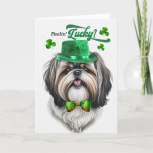 Tarjeta Festiva Perro Shih Tzu sintiéndose afortunado día de San P