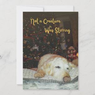 Tarjeta Festiva Perro somnoliento No una criatura fue Navidades co