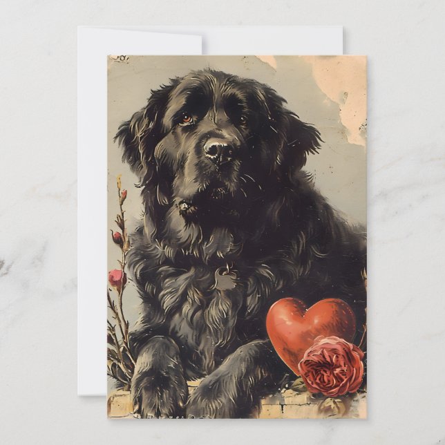 Tarjeta Festiva Perro Terranova Día de San Valentín vintage  (Anverso)