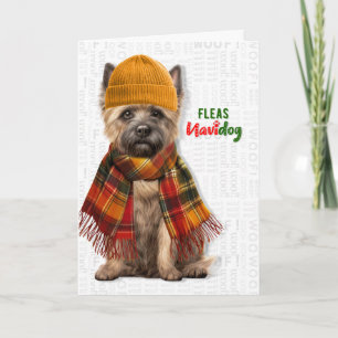 Tarjeta Festiva Perro Terrier Cairn Divertido Pulgas Navidog Navid