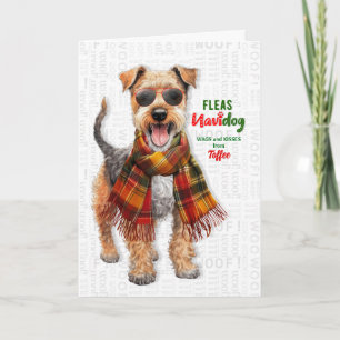 Tarjeta Festiva Perro Terrier Galés Divertido Navidog con Piojos c