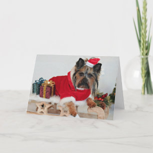 Tarjeta Festiva Perro Terrier Yorkshire - Navidades Santa Hat