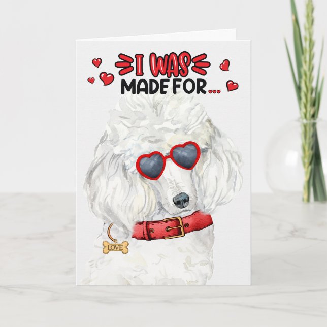 Tarjeta Festiva Perro típico de caniche hecho para amarte San Vale (Anverso)