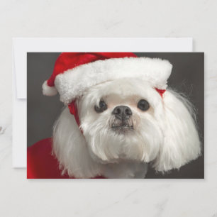 Tarjeta Festiva Perro torpe de Santa
