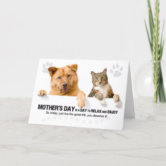 Tarjeta Festiva Perro y gato divertidos en el Día de la Madre Blan