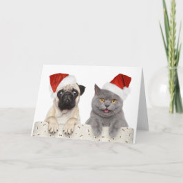 Tarjeta Festiva Perro Y Gato En Gorra De Navidades Rojos